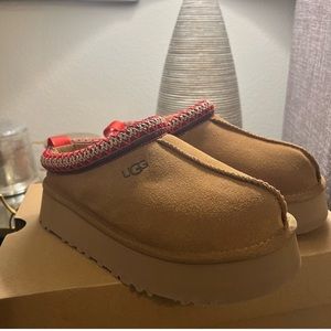 Tasman Platform Uggs Chestnut Size 7